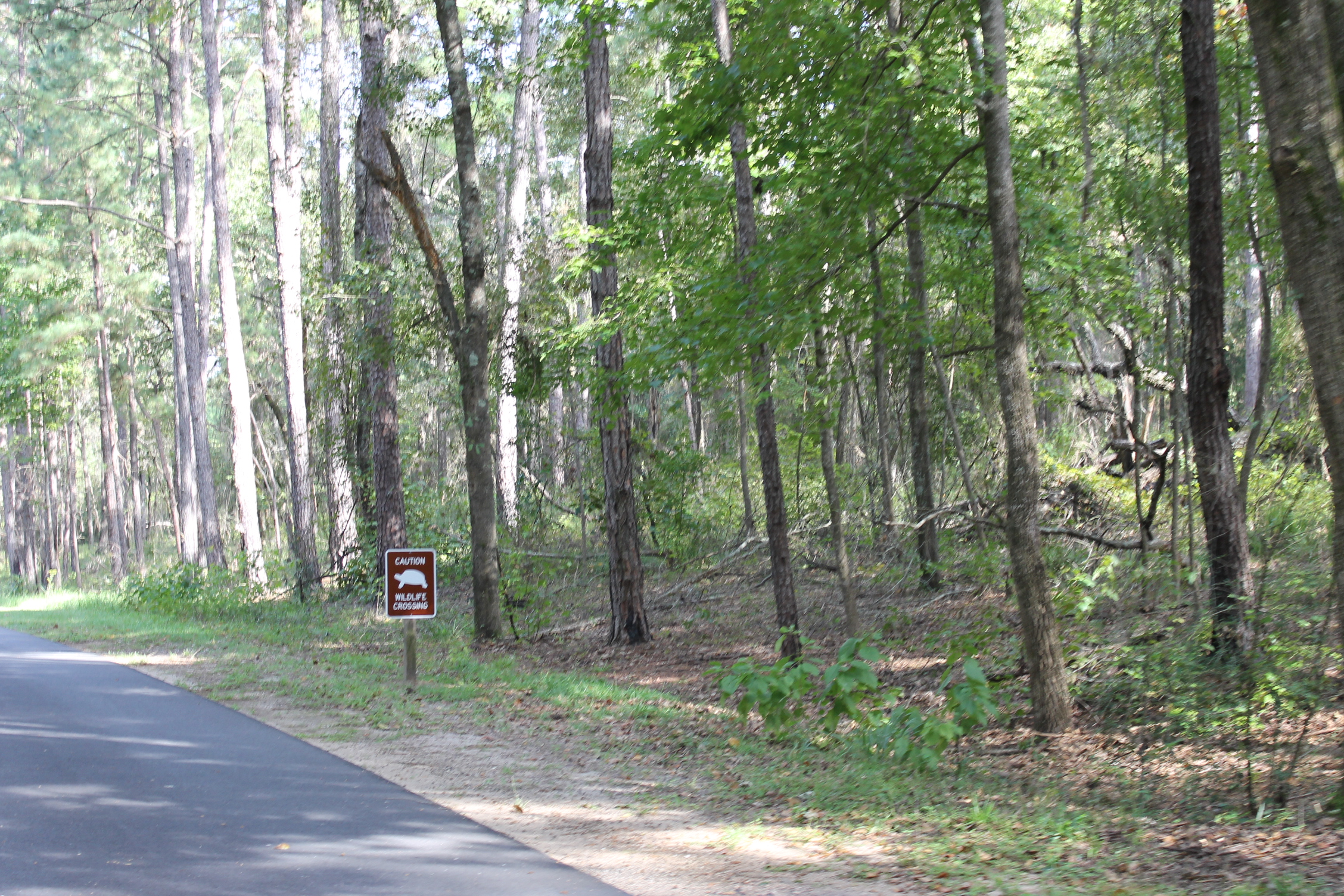 three Rivers State Park