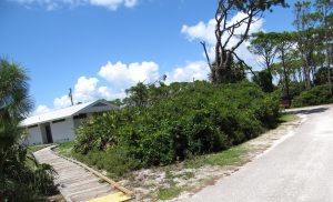TH Stone Memorial St Josephs Peninsula State Park - Gulf Breezes campground