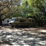 Myakka02182014 (4)