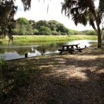 watching the river go by