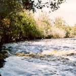 Rapids at Big Shoals State Park.
