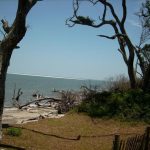 Big Talbot Island State Park