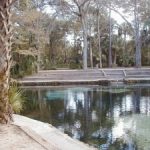 JuniperSpringsPool