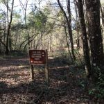 StephenFosterSP01102015 (18)
