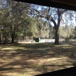 ViewBackWindowStephenFoster