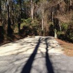 Campsite at Stephen Foster