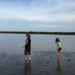 ASP12292015 (6)