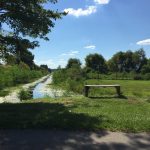 alr08252016-9