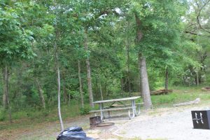 River Camps Along the Suwannee River