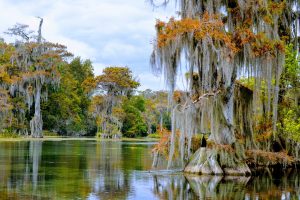 Combined and Improved Site