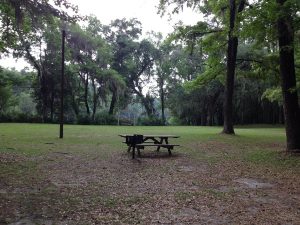 Revisit Our Florida Workamping Book