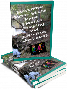 Kids Camping Activity Booklet Series