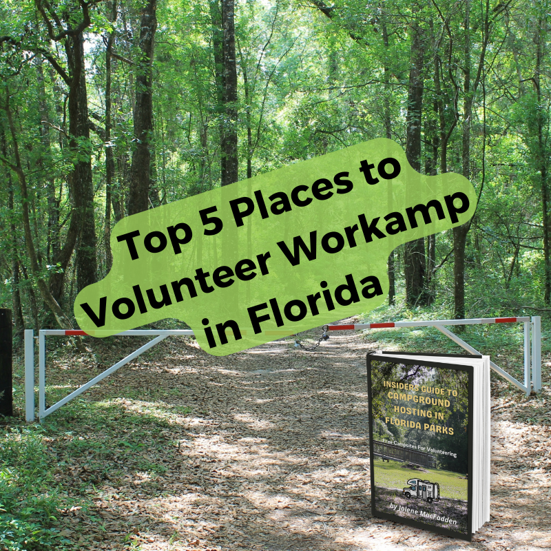 Top 5 Places to Volunteer Workamp in Florida