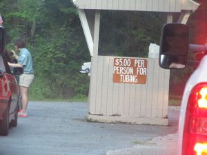 Go to Ichetucknee Spring States Parks to See Otters